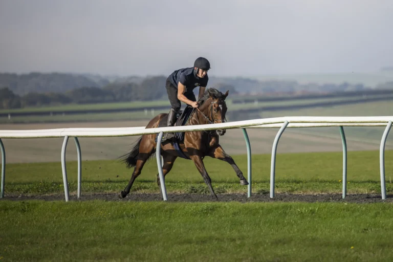 RC Syndicate Horse Letmelivemylife on the gallops