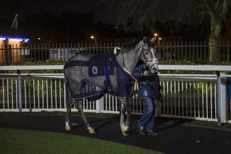 RC Syndicate Horse Greycee Bell walking around the parade ring
