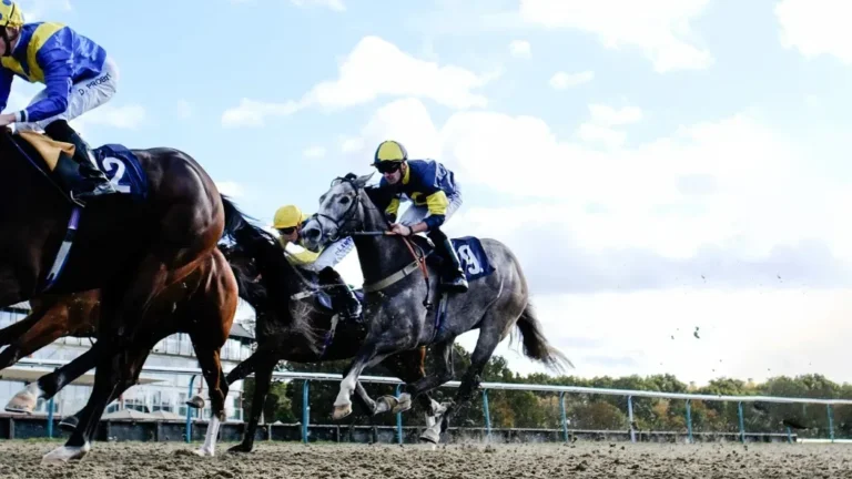 RC Syndicate Horse Greycee Bell racing at Lingfield racecourse