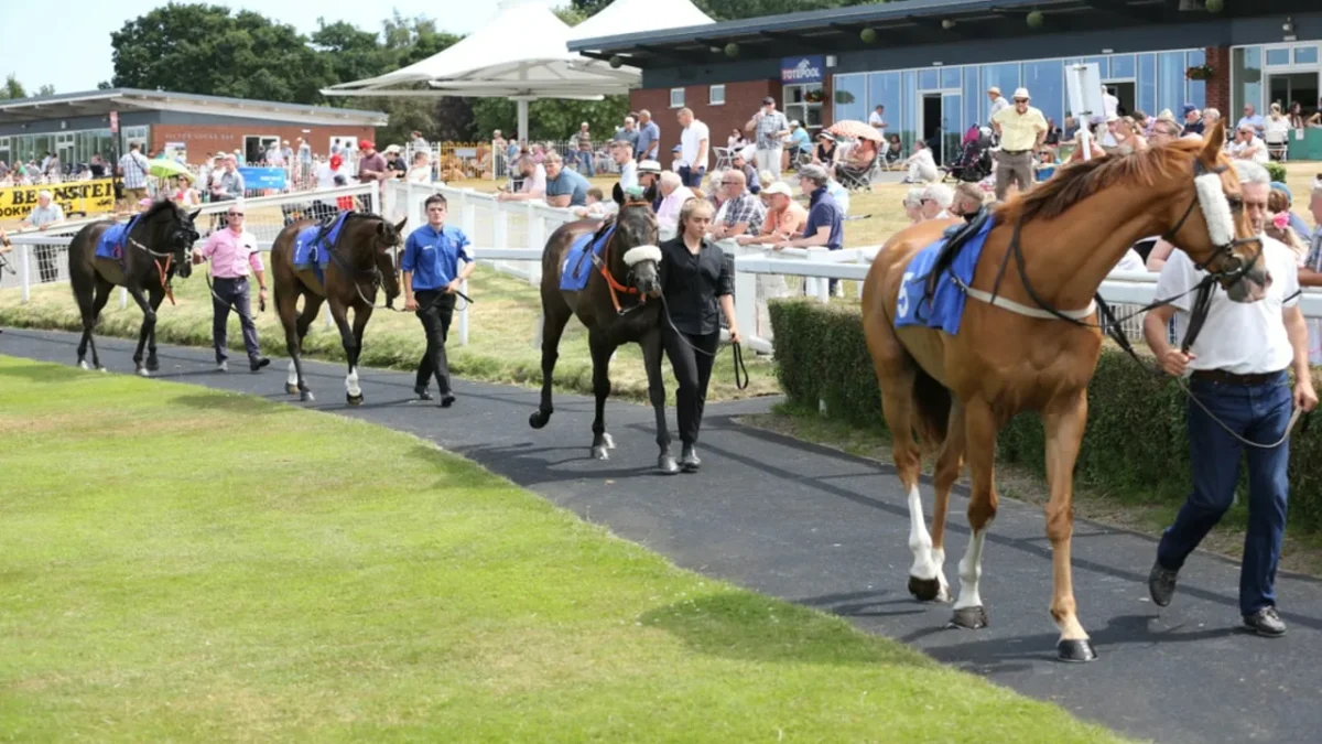 Is It Worth Investing in a Race Horse? Pros, Cons, and Tips