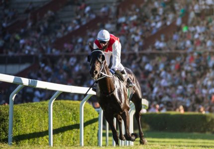 A jockey in blue and white racing colors riding a bay horse mid-jump over a lush, green hedge on a racecourse, with trees and a clear sky in the background.