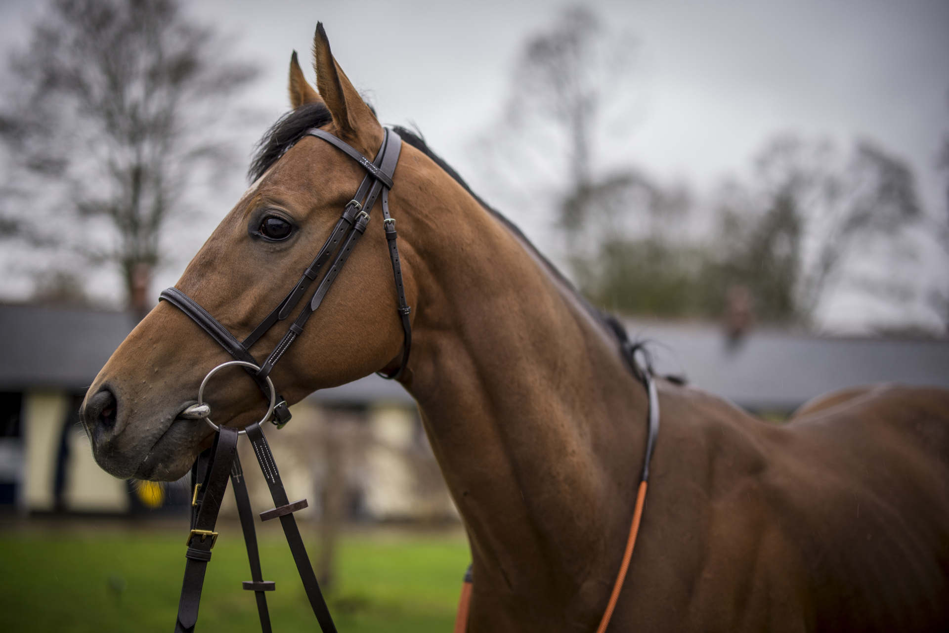 Introducing Dunstan - Racing Club