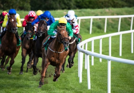 A leading racehorse with a jockey in green and yellow racing ahead of the pack on a vibrant race track.
