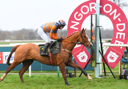 Jockey and horse in mid-race at Bangor-on-Dee Racecourse, with the racecourse branding visible in the background