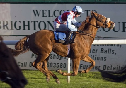 Jockey in red and white riding a galloping chestnut horse at Brighton Racecourse with promotional banners in the background.