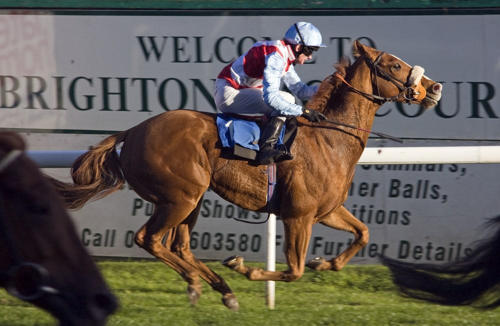 Jockey in red and white riding a galloping chestnut horse at Brighton Racecourse with promotional banners in the background.