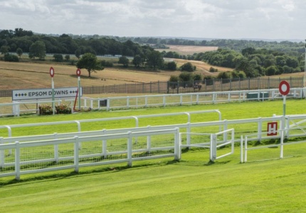 Racehorse and jockey in mid-gallop at Epsom Downs Racecourse with the grandstand and spectators in the background.