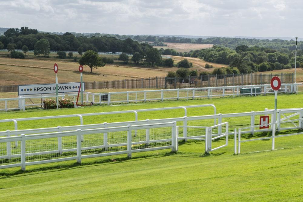 Racehorse and jockey in mid-gallop at Epsom Downs Racecourse with the grandstand and spectators in the background.