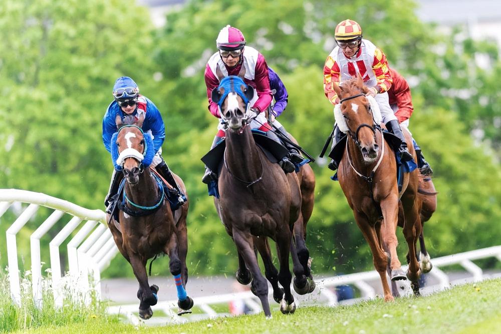 Three horses racing down the track, with jockeys in vibrant blue, pink, and yellow silks urging them on, set against a lush, green backdrop.