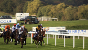 Group of racehorses in mid-gallop on a lush racecourse with jockeys in racing silks guiding them towards the finish line.