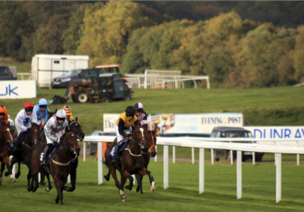 Group of racehorses in mid-gallop on a lush racecourse with jockeys in racing silks guiding them towards the finish line.