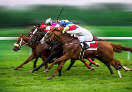Plan your visit to Chelmsford Racecourse with our comprehensive guide. Discover top racing events, travel tips, what to wear, dining options, and more.