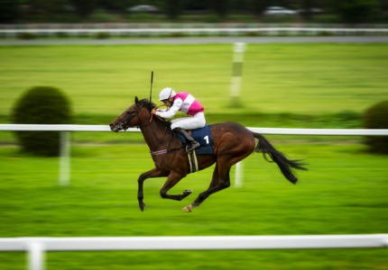 Jockey in pink and white silks riding a number 1 brown racehorse at full speed on a racetrack, showcasing motion blur effect.