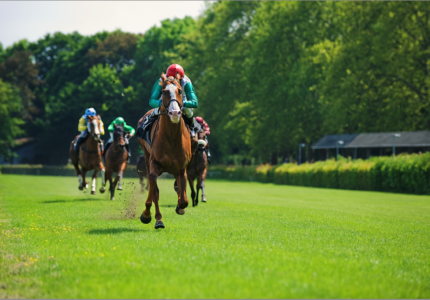 Leading racehorse charging ahead on a vibrant green turf with a field of competitors trailing behind at a sunny racecourse.