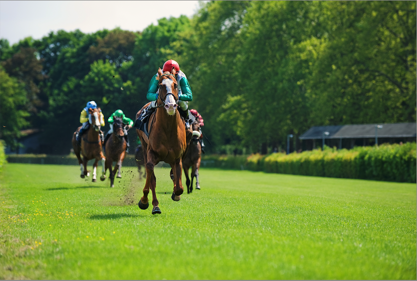 Leading racehorse charging ahead on a vibrant green turf with a field of competitors trailing behind at a sunny racecourse.