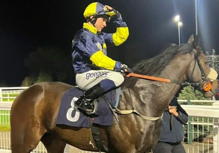 Unknown Journey Shapes With Promise At Southwell – Race Report