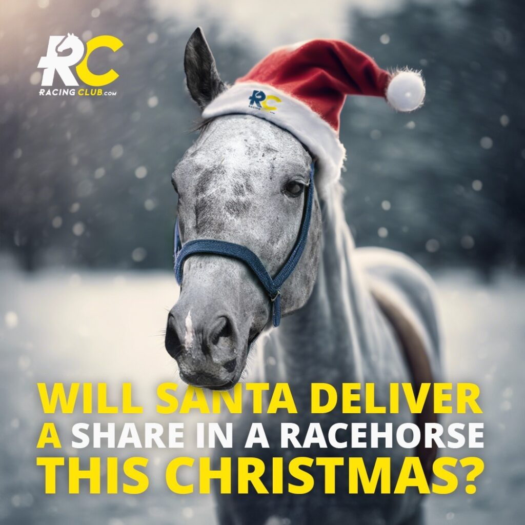 Will Santa deliver a share in a racehorse this Christmas