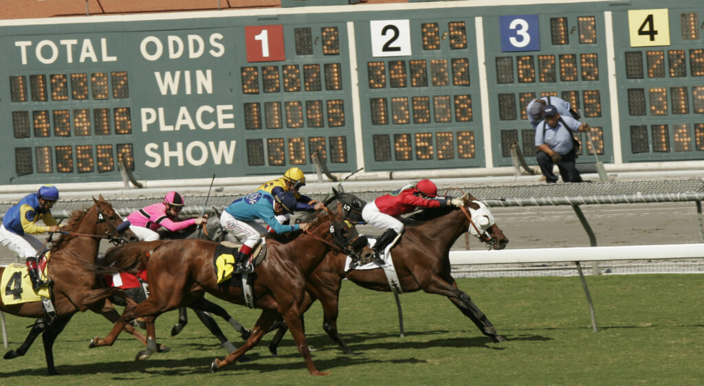 How does Tote Betting Work in Horse Racing?