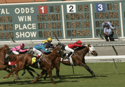 How does Tote Betting Work in Horse Racing?