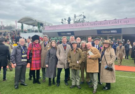 Wendigo Finishes Fifth At The Cheltenham Festival – Race Report