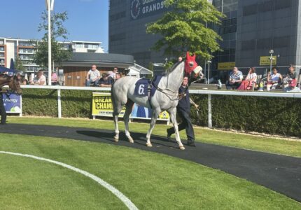 Rory’s Gold Shows Promise On Turf Debut At Newbury – Race Report