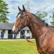 Lord d’Or
