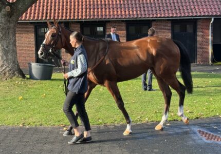 Havana Flower Makes Encouraging Debut At Newmarket – Race Report