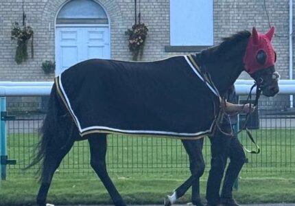 Brosay Below His Brilliant Best at Doncaster – Race Report