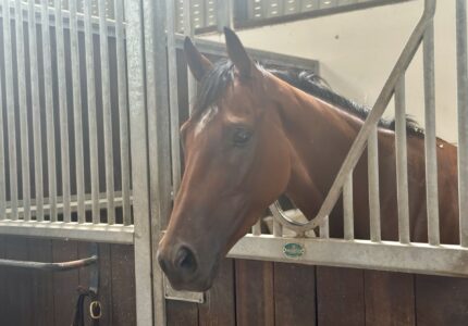 Karthon Continues to Impress with Runner-Up Finish at Newcastle  – Race Report