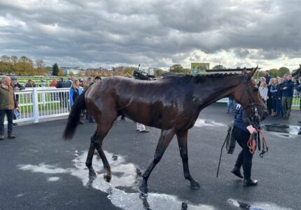 Legendary Luke A Strong Second On Rules Debut At Worcester – Race Report