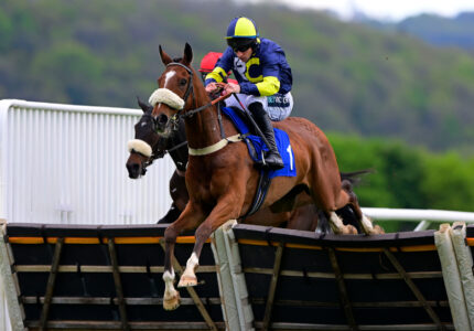 Jumps Horses To Follow 25/26