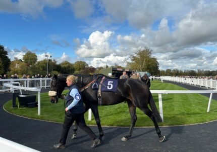 Wendigo An Excellent Second On Chase Debut At Worcester – Race Report