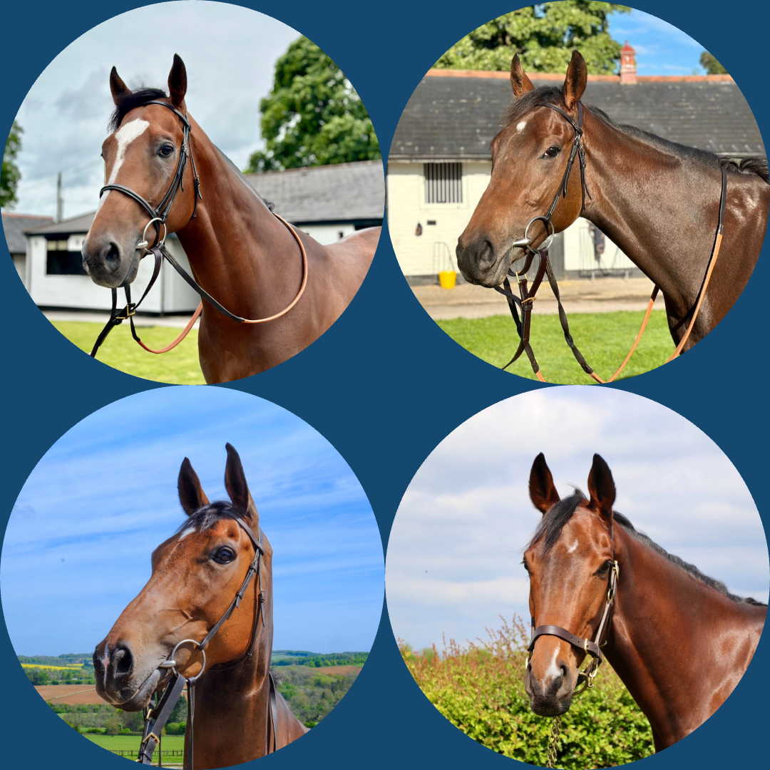 Ultimate Combo Package