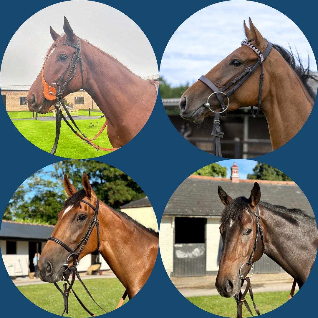 Ultimate Flat Package