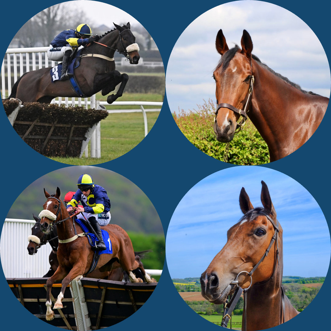 Ultimate Jumps Package