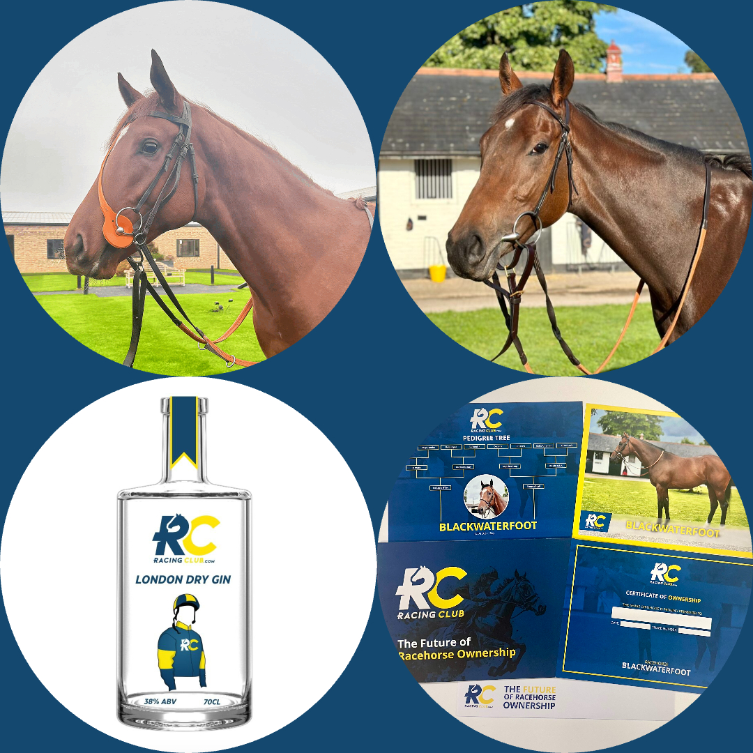 It Must Be Love Bundle