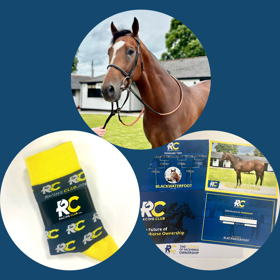 Blackwaterfoot Bundle