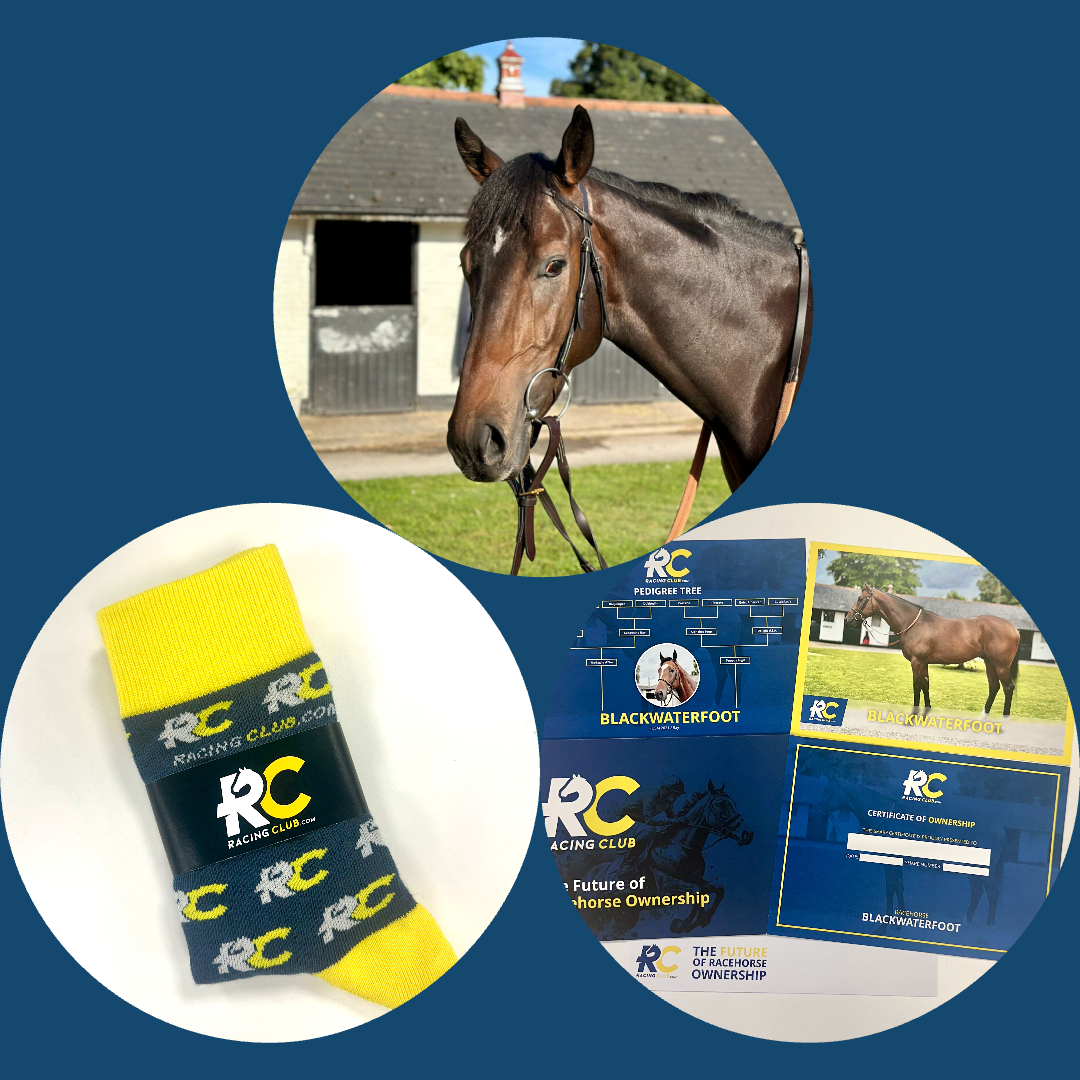 Unknown Journey Bundle