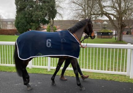 Brodie’s Boy Struggles With Tough Draw At Lingfield – Race Report