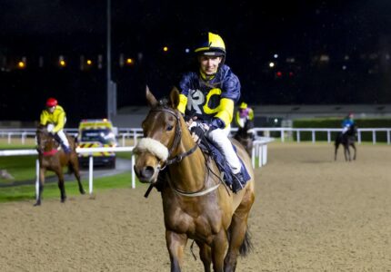 Magic Runner Storms to Well Deserved Victory At Wolverhampton – Race Report