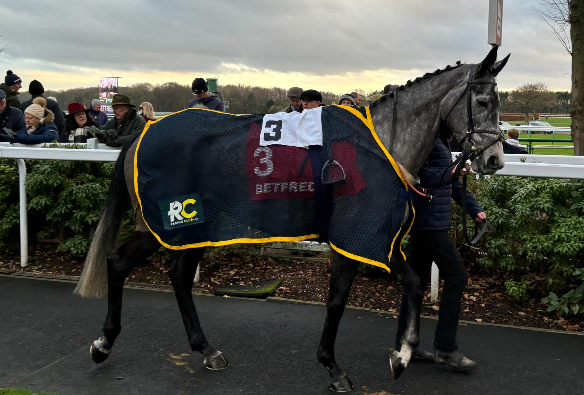 Strong Performance Brings Luckless Third For A Path To Ronda At Haydock ...