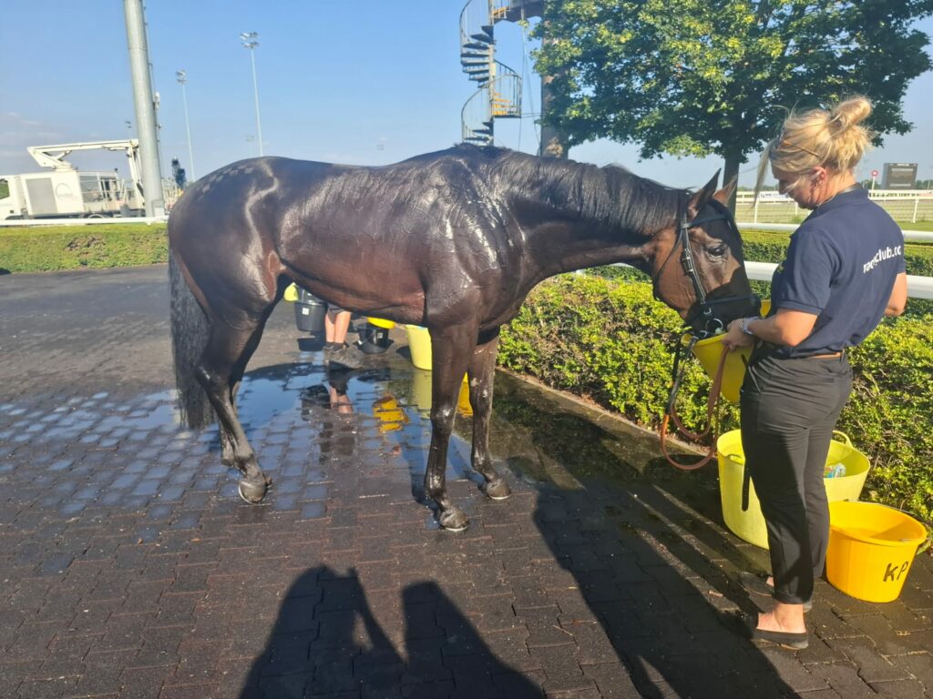 BB Kempton